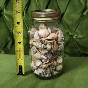 Decorative Seashell Jar